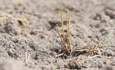 ekologiškos trąšos | Bioenergy LT